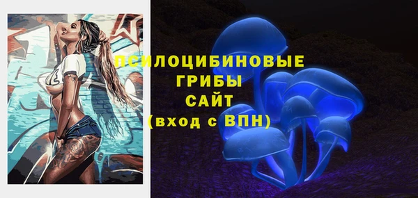 ПСИЛОЦИБИНОВЫЕ ГРИБЫ Алексеевка