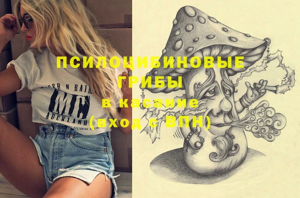 первитин Алексин